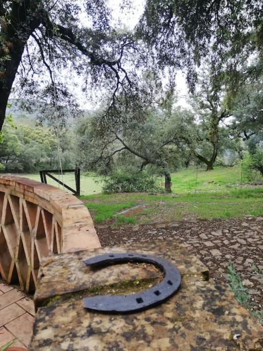 Casa Rural Alicia 科迪加纳 外观 照片