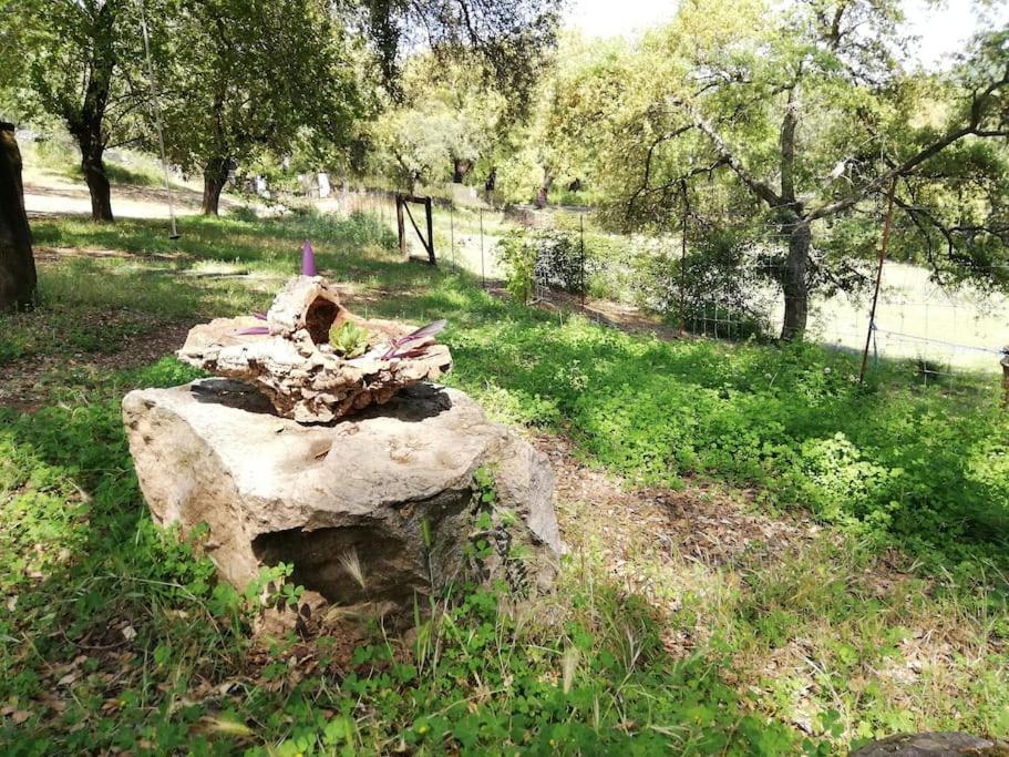 Casa Rural Alicia 科迪加纳 外观 照片