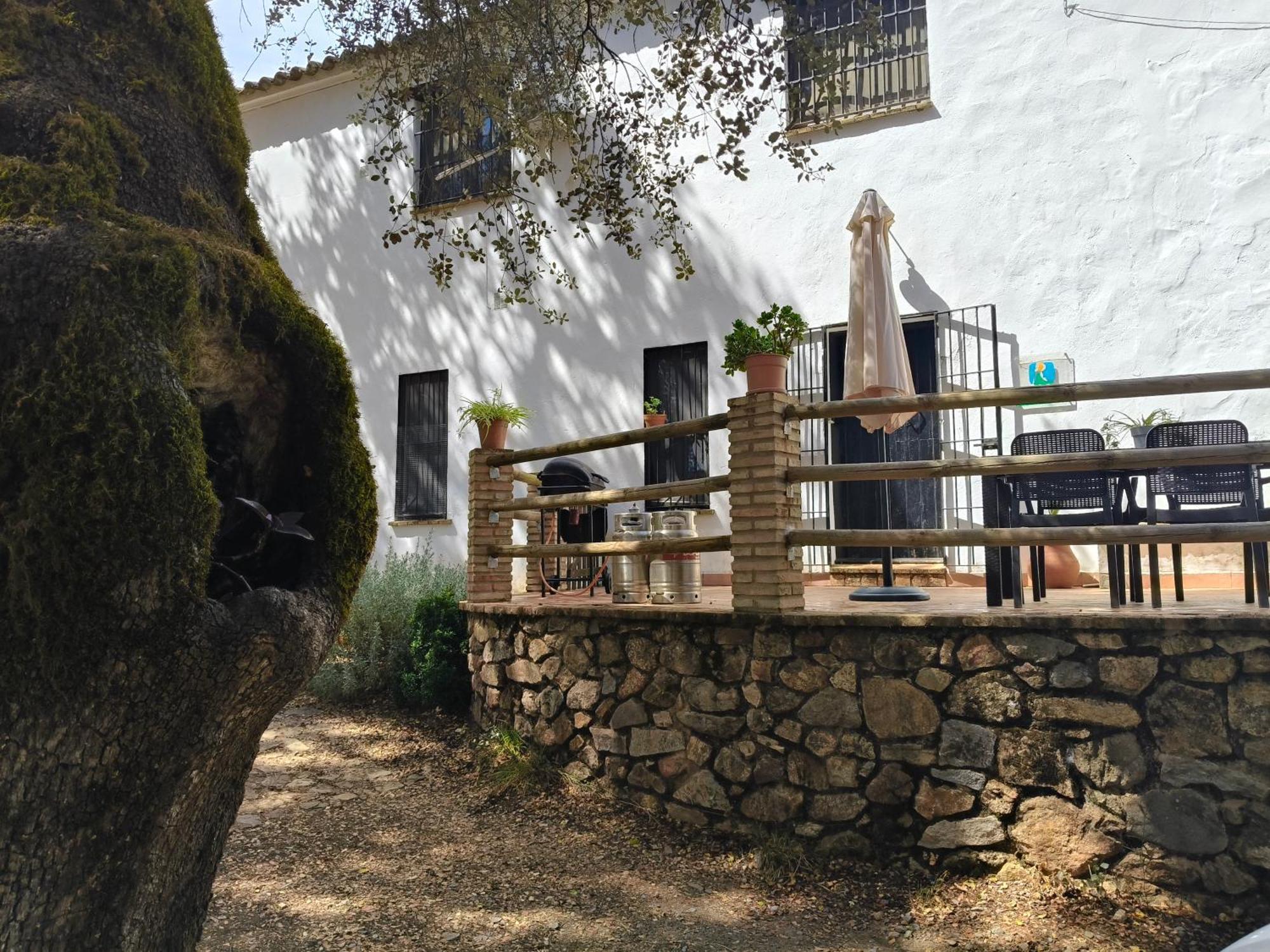 Casa Rural Alicia 科迪加纳 外观 照片